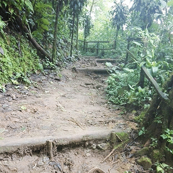 Refugio del Quetzal en San Marcos