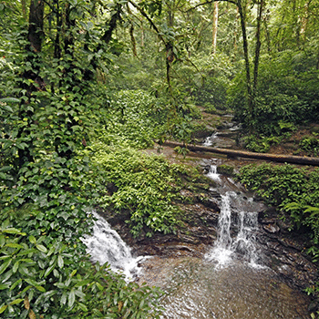Refugio del Quetzal en San Marcos