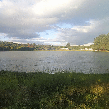 Laguna El Jute, Chiquimula