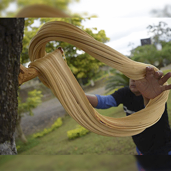 Receta para hacer Melcocha guatemalteca