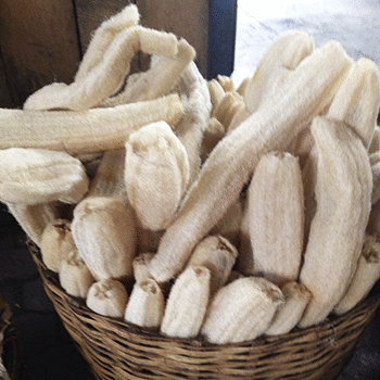 ¿Qué significa la palabra "Pashte" en Guatemala?