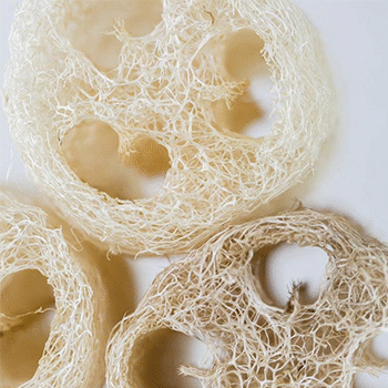 ¿Qué significa la palabra "Pashte" en Guatemala?