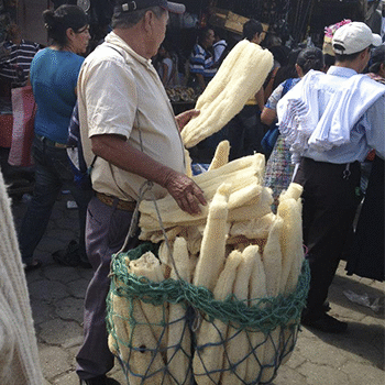 ¿Qué significa la palabra "Pashte" en Guatemala?