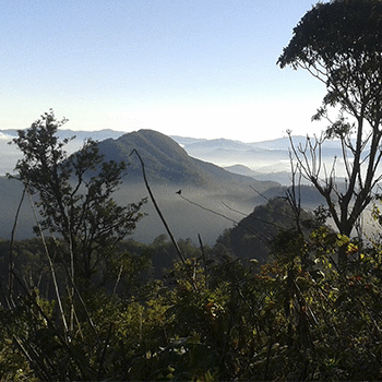 Volcán Siete Orejas en Quetzaltenango