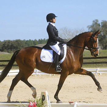 Cómo practicar equitación en Guatemala