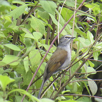Parque ecológico Chajil Siwan, Totonicapán