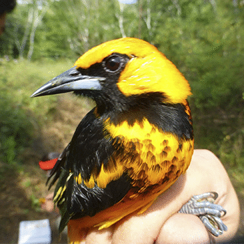 Reserva Natural para la Conservación del Heloderma y el Bosque Seco en Zacapa