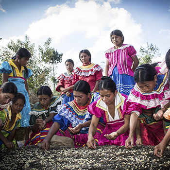 Palabras en idioma Ch'orti' de Guatemala