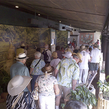 Museo del Café La Azotea en Guatemala