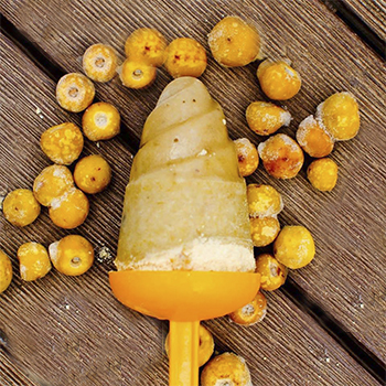 Receta para hacer helado de nance