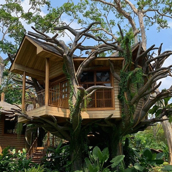 Habitaciones Casas del árbol Irtra