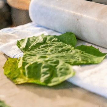La Chaya, nutritiva hierba ancestral