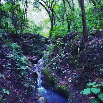 Parque Ecológico Florencia, Sacatepéquez