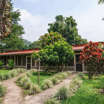 Los Tarrales, reserva natural del departamento de Suchitepéquez