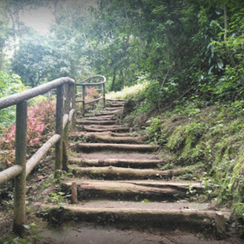 Parque ecológico de Sacatepéquez, Senderos de Alux