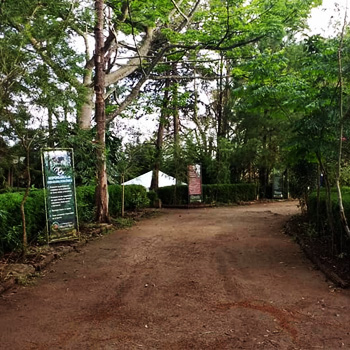 Ciudad Nueva, parque ecológico en Ciudad de Guatemala