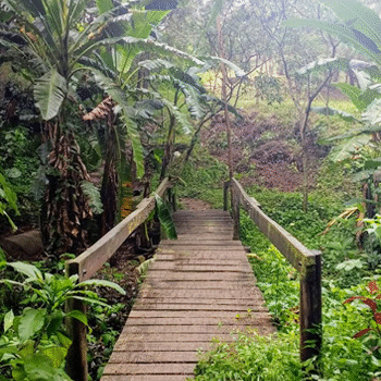 Ciudad Nueva, parque ecológico en Ciudad de Guatemala