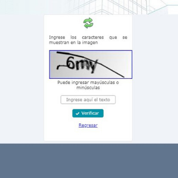 omisos seguridad