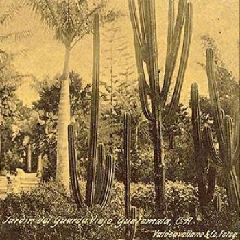 colegio de ingenieros de guatemala jardin