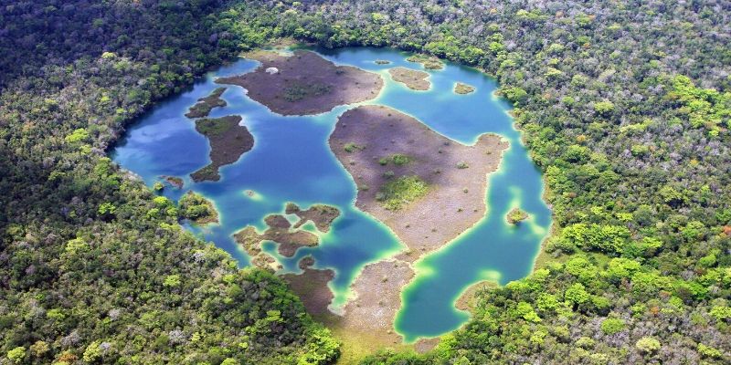 los humedales guatemala