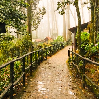 senderos-alux-parque-ecologico-sacatepequez-san-lucas-guatemala (1)