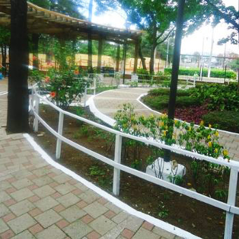 plaza-mariachis-ciudad-de-guatemala-zona-3