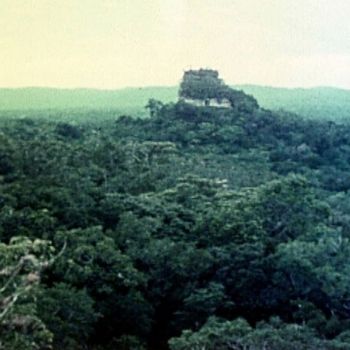templo IV o de la serpiente bicéfala en 1961