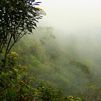 ram-tzul-reserva-natural-baja-verapaz-guatemala-purulha