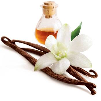 receta-preparar-galletas-vainilla-estilo-guatemalteco-planta