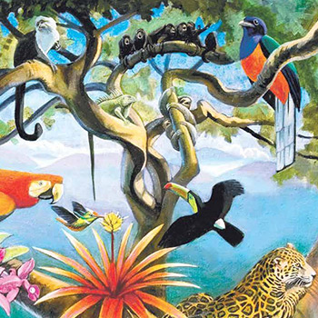 vida-silvestre-en-guatemala-animales