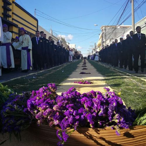 Historia del corozo en Guatemala