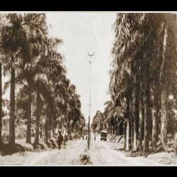 historia-calzada-las-palmas-retalhuleu-camino-puca