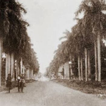 historia-calzada-las-palmas-retalhuleu-carretera-capital-del-mundo-departamento