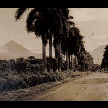 historia-calzada-las-palmas-retalhuleu-carretera