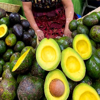 receta-hacer-salsa-de-aguacate-estilo-guatemalteco-venta-comercio-exportacion