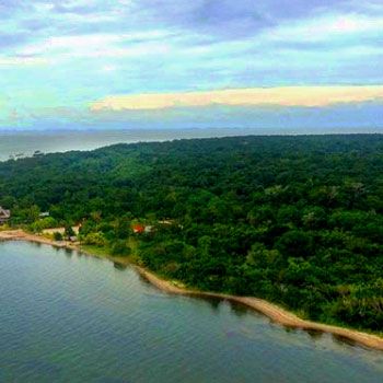 refugio-vida-silvestre-punta-de-manabique-puerto-barrios-izabal-guatemala-bosques-manglares