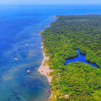 refugio-vida-silvestre-punta-de-manabique-puerto-barrios-izabal-guatemala-playa-turismo