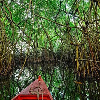 canal-de-chiquimulilla-guatemala-historia-manglares