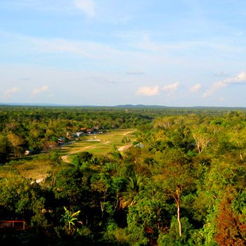 diversidad-biologica-en-guatemala-biodiversidad
