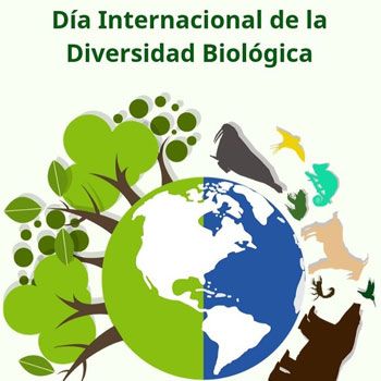 diversidad-biologica-en-guatemala-dia-internacional-onu