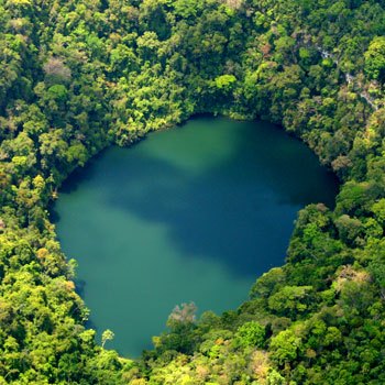diversidad-biologica-en-guatemala-humedales