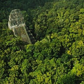 templo-v-tikal-peten-historia-origen