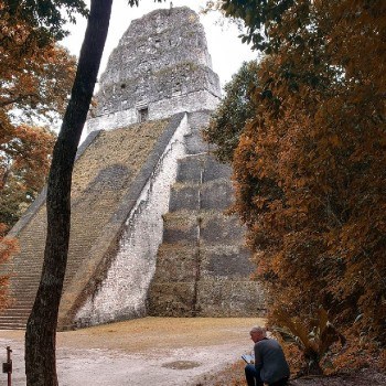 templo-v-tikal-peten-plaza-siete-templos