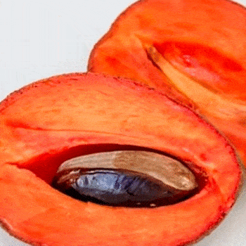 Recetas para preparar postres con frutas de temporada en Guatemala