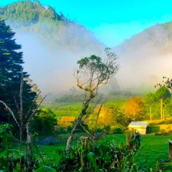 climas-en-guatemala-bosque-nuboso-baja-verapaz