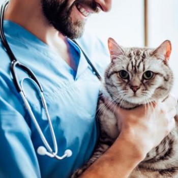 historia-colegio-profesional-medicos-veterinarios-guatemala-fundacion