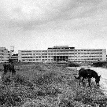 historia-psicologia-guatemala-hospital-roosevelt