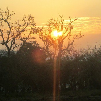 que-es-canicula-guatemala-reduccion-lluvias-dias-soleados-calor-temperaturas-calidas