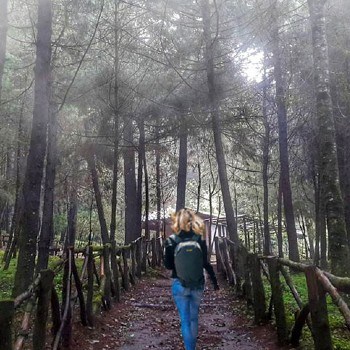 tipos-bosques-guatemala-nubosos