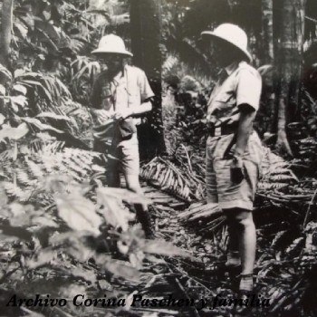 historia-arqueologia-guatemala-arqueologos-investigaciones-peten